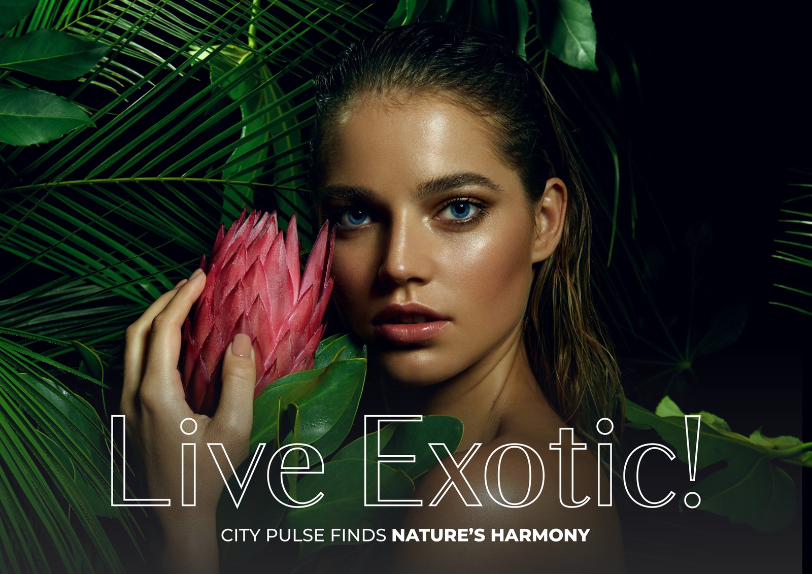 Modern Architecture in Forest